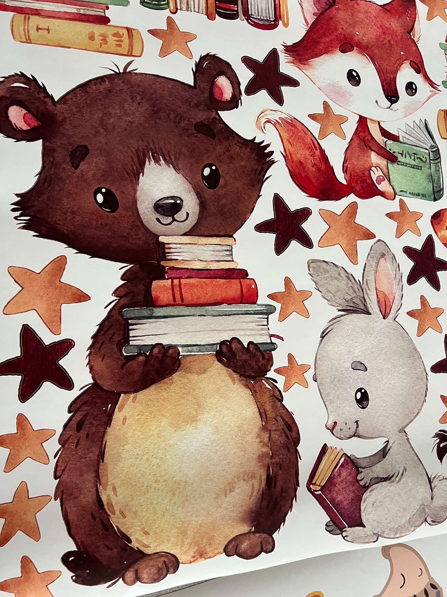 Reading Animals Wall Decals