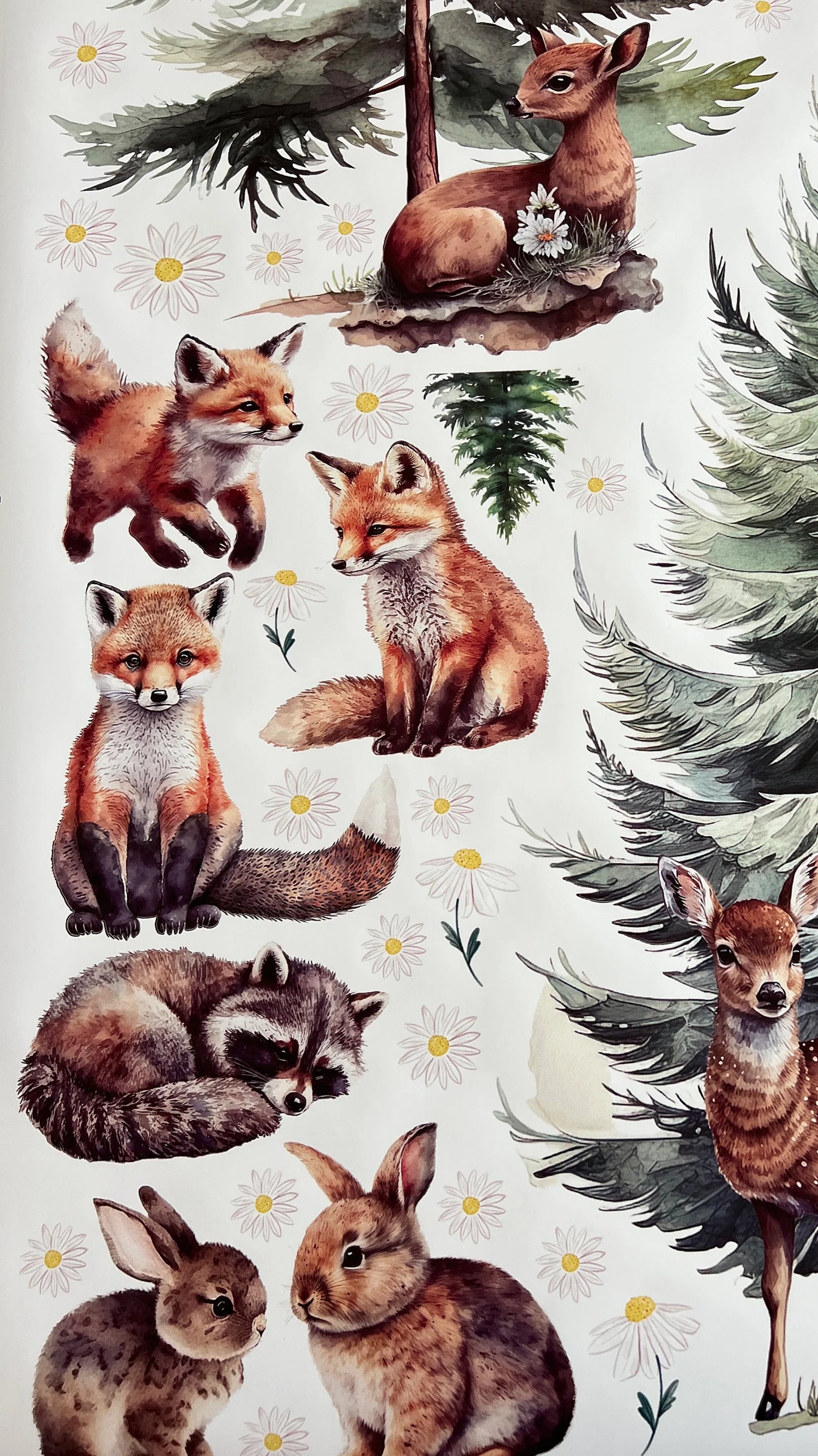 Forest Wall Decals 7.11