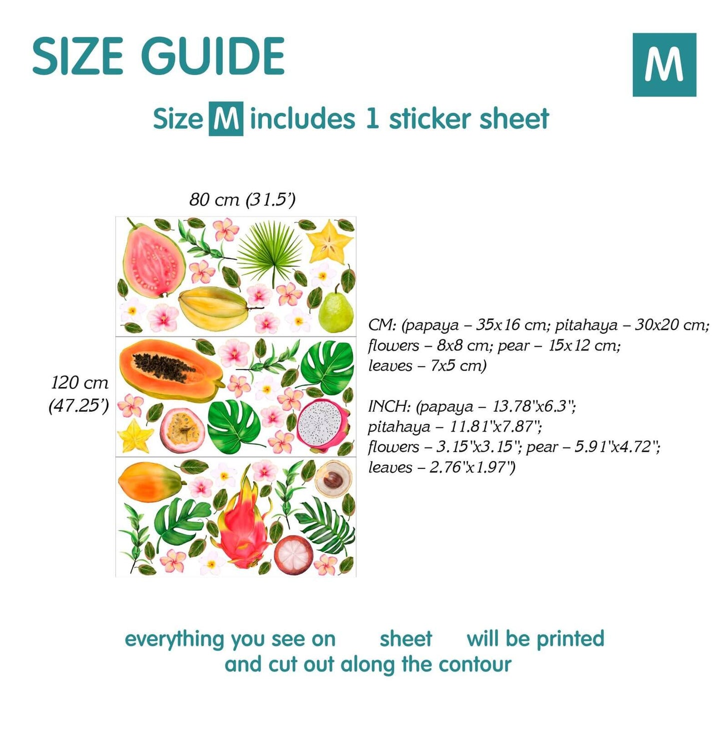 Fruit Wall Decals 4.0