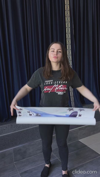 Airplane Wall Decals 9.1